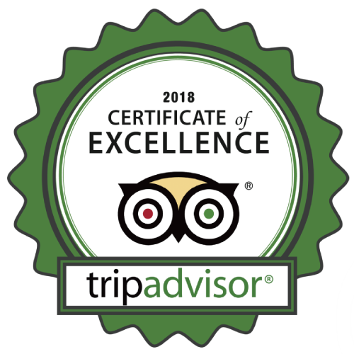 tripadvisor2