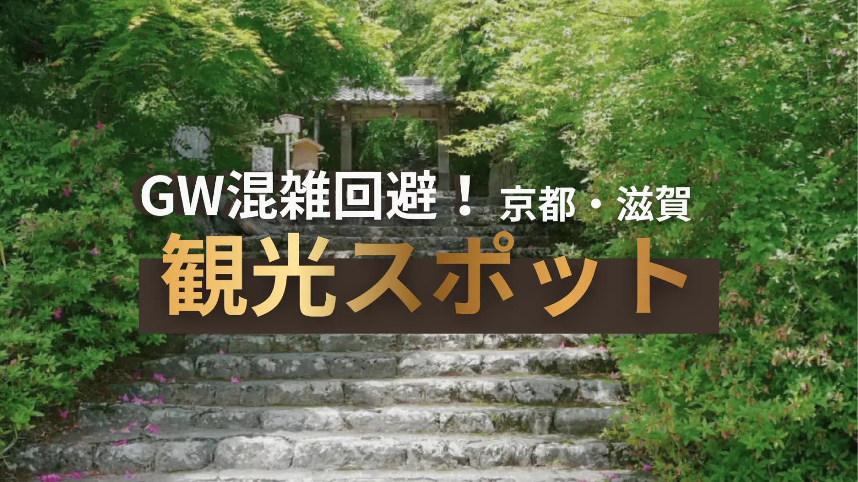 リリース資料