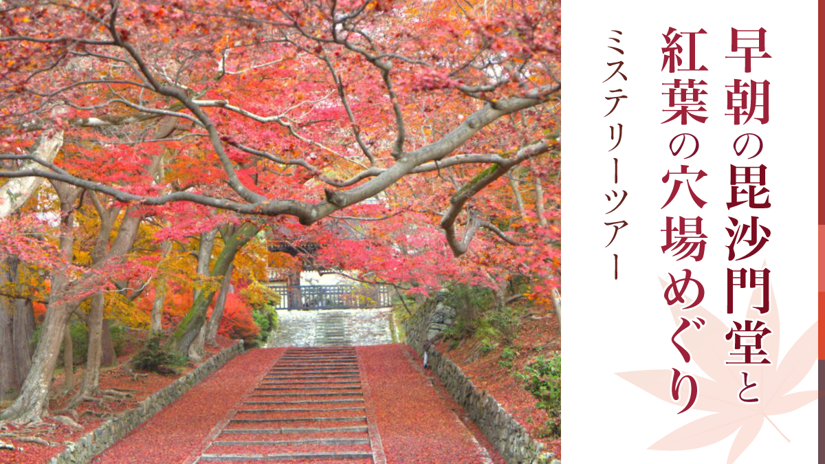 【限定9名様】早朝の毘沙門堂と紅葉の穴場めぐりミステリーツアー