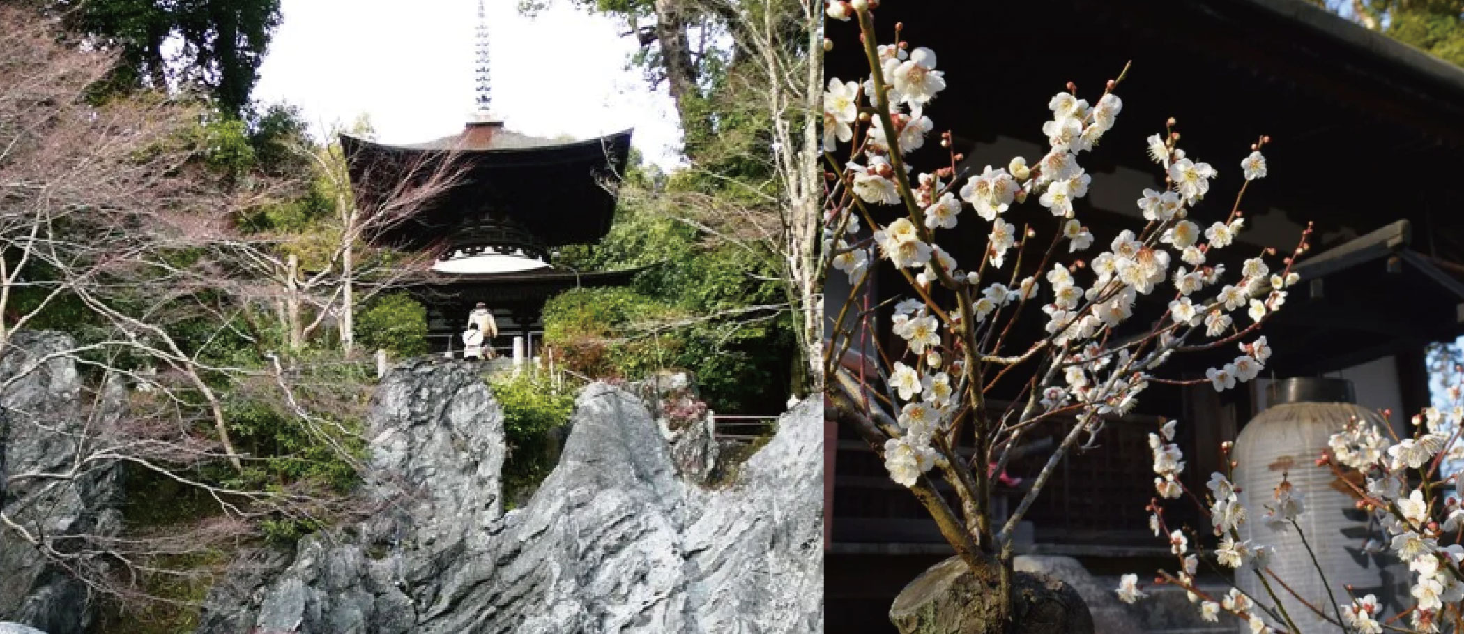 西國三十三所巡禮方案MK旅遊
