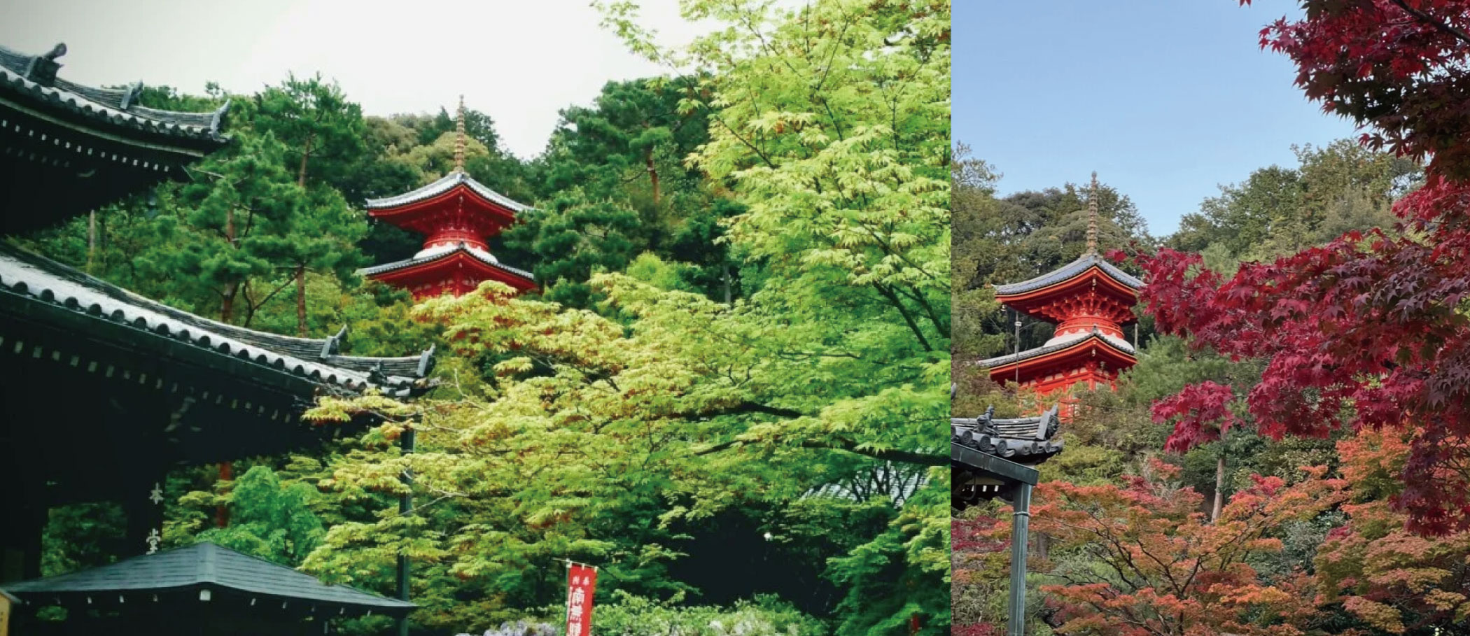 西國三十三所巡禮方案MK旅遊