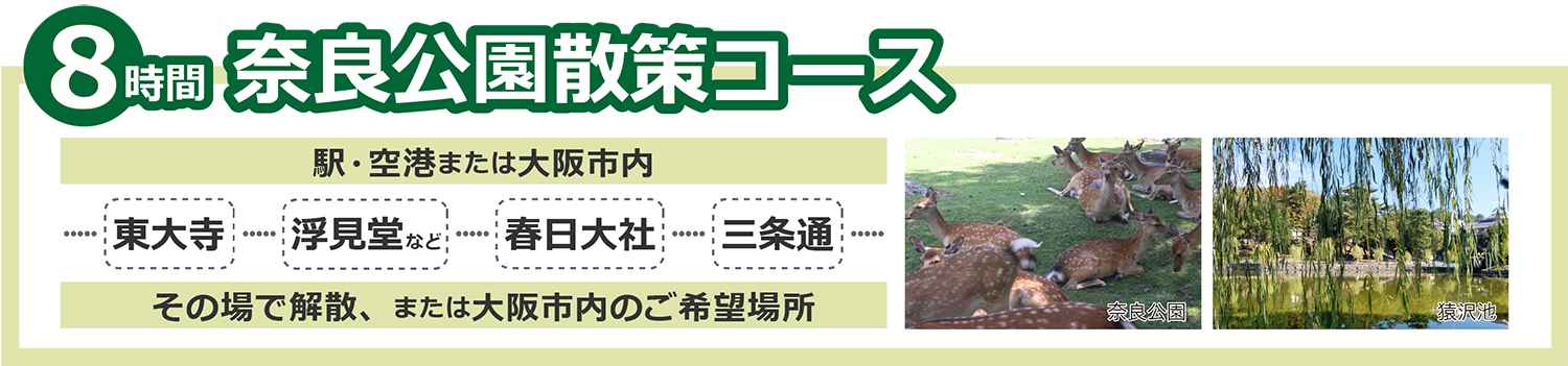 奈良公園散策8時間