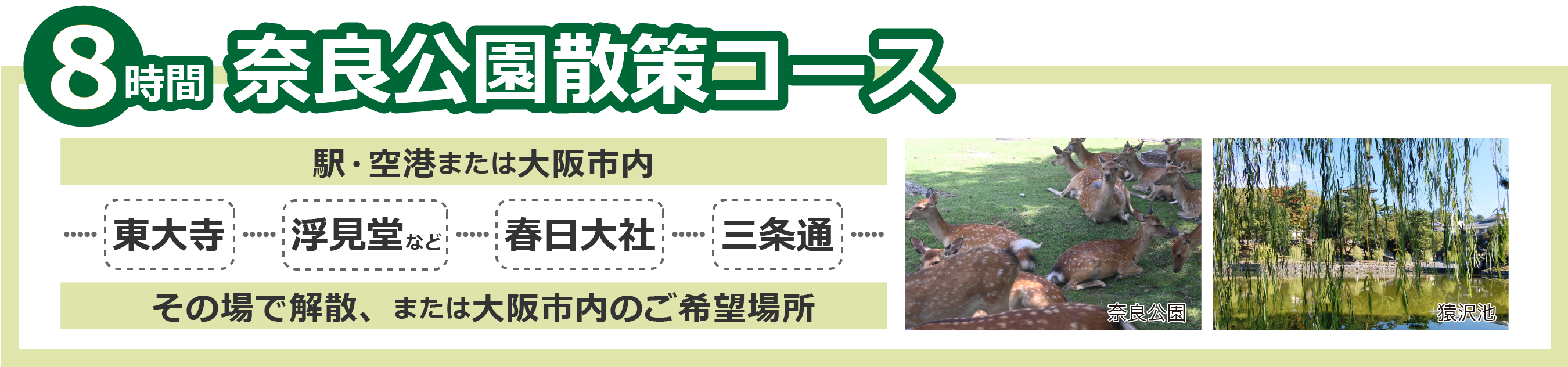 奈良公園散策8時間