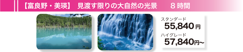 【富良野・美瑛】見渡す限りの大自然の光景　8時間