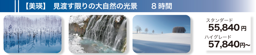 【美瑛】見渡す限りの大自然の光景　8時間