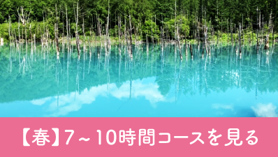北海道観光【春7～10時間コース】