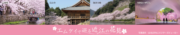 エムケイで巡る近江の花見