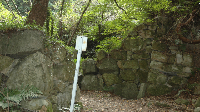 観音寺城跡（登城）