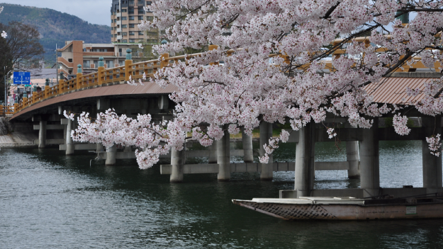 瀬田の唐橋