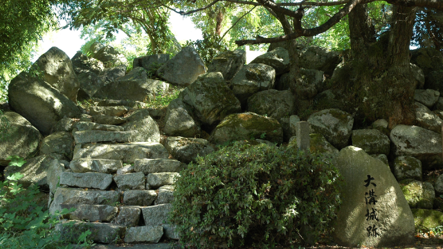 大溝城跡