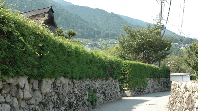 門前町坂本