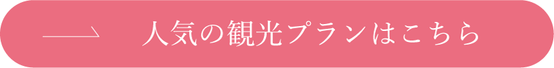 人気の観光プラン一覧はこちら
